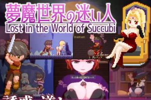 1月新作【ACT/像素/官中动态】梦魔世界的迷失者 夢魔世界の迷い人 Ver1.01【PC+安卓/1.22G】